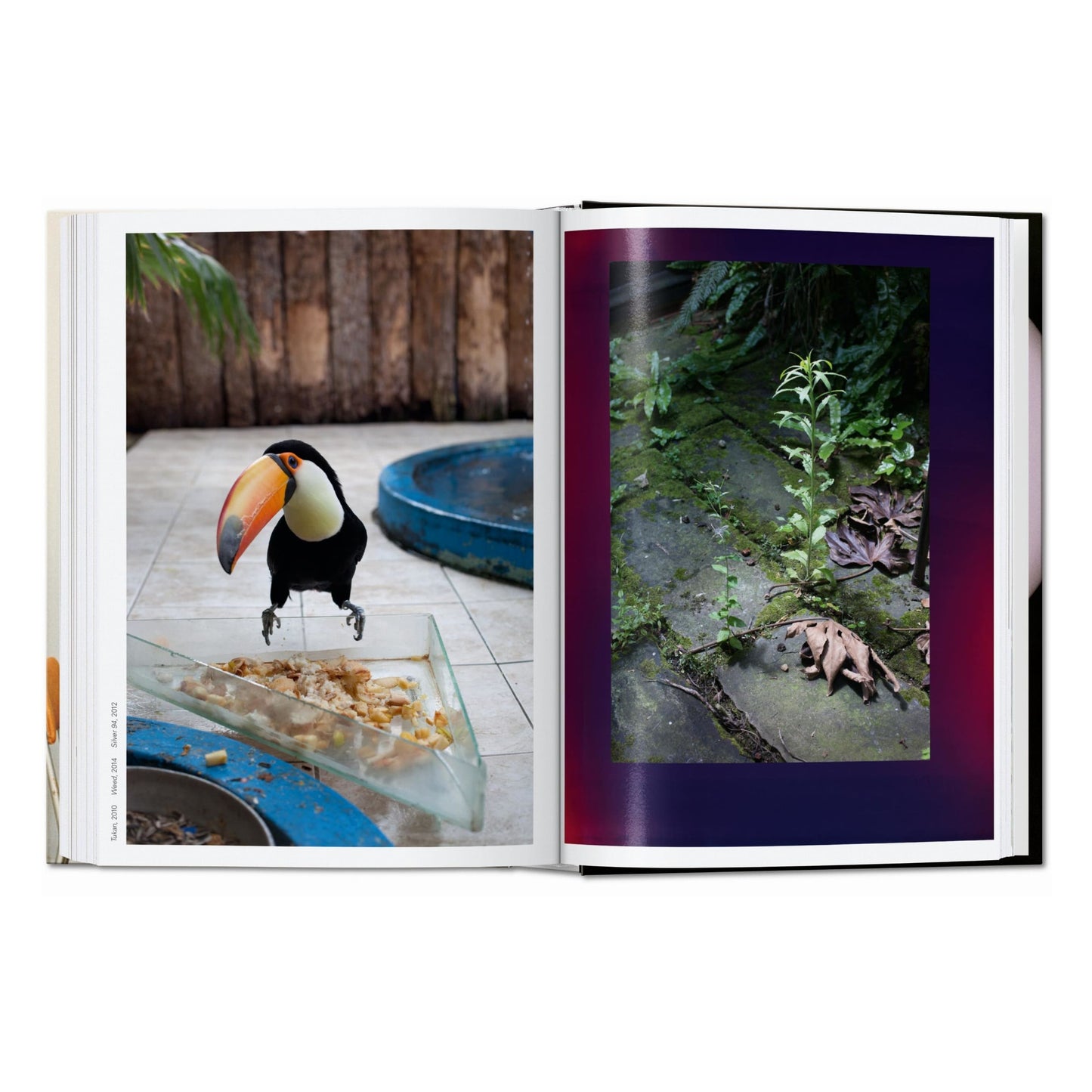 Wolfgang Tillmans. four books. 45th Ed. (English) Book