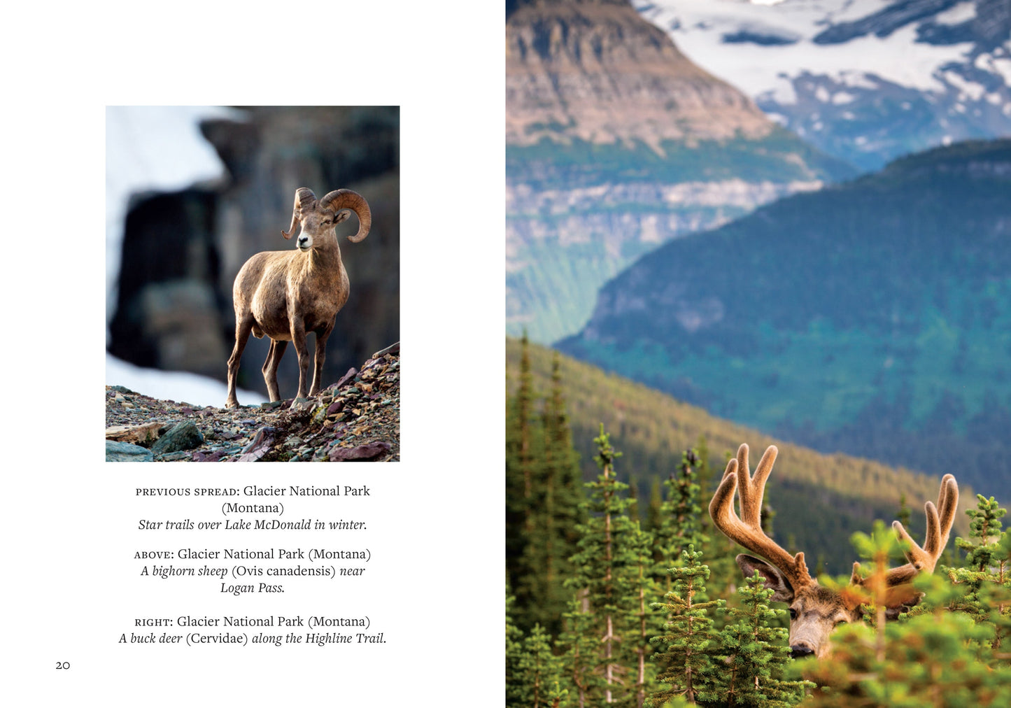 America's National Parks Hardcover Book