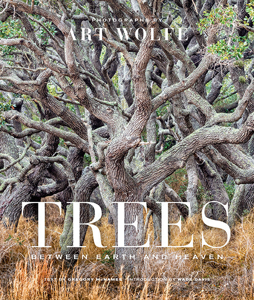Trees Hardcover Book