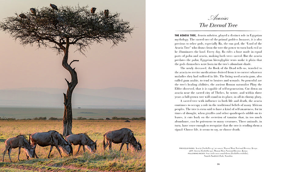 Trees Hardcover Book