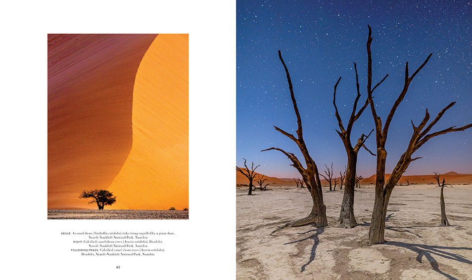 Trees Hardcover Book