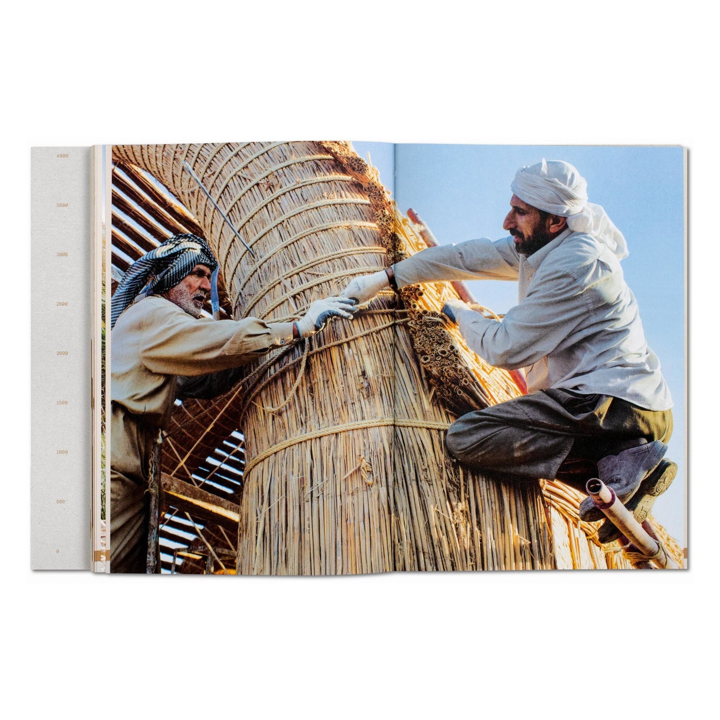 Julia Watson. Lo—TEK. Design by Radical Indigenism (English) Book