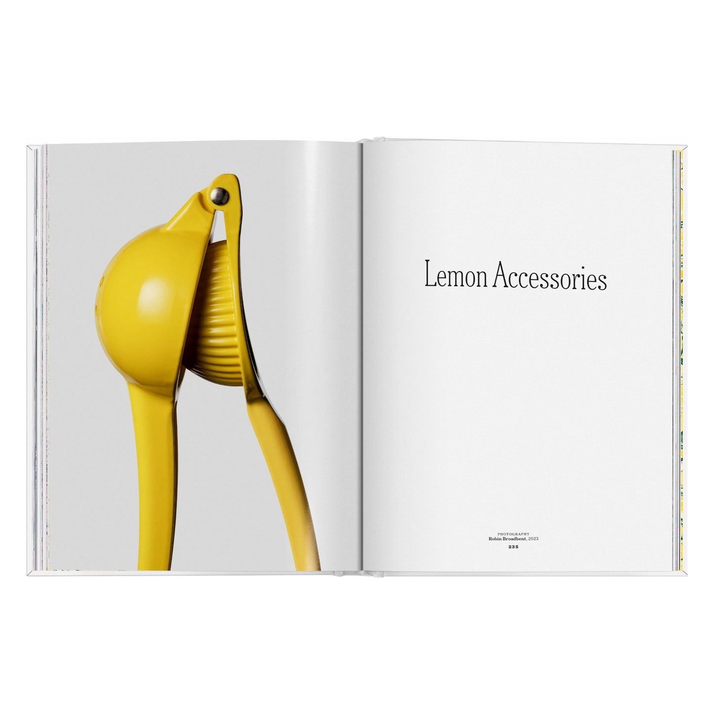 The Gourmand's Lemon. A Collection of Stories and Recipes (English) Book