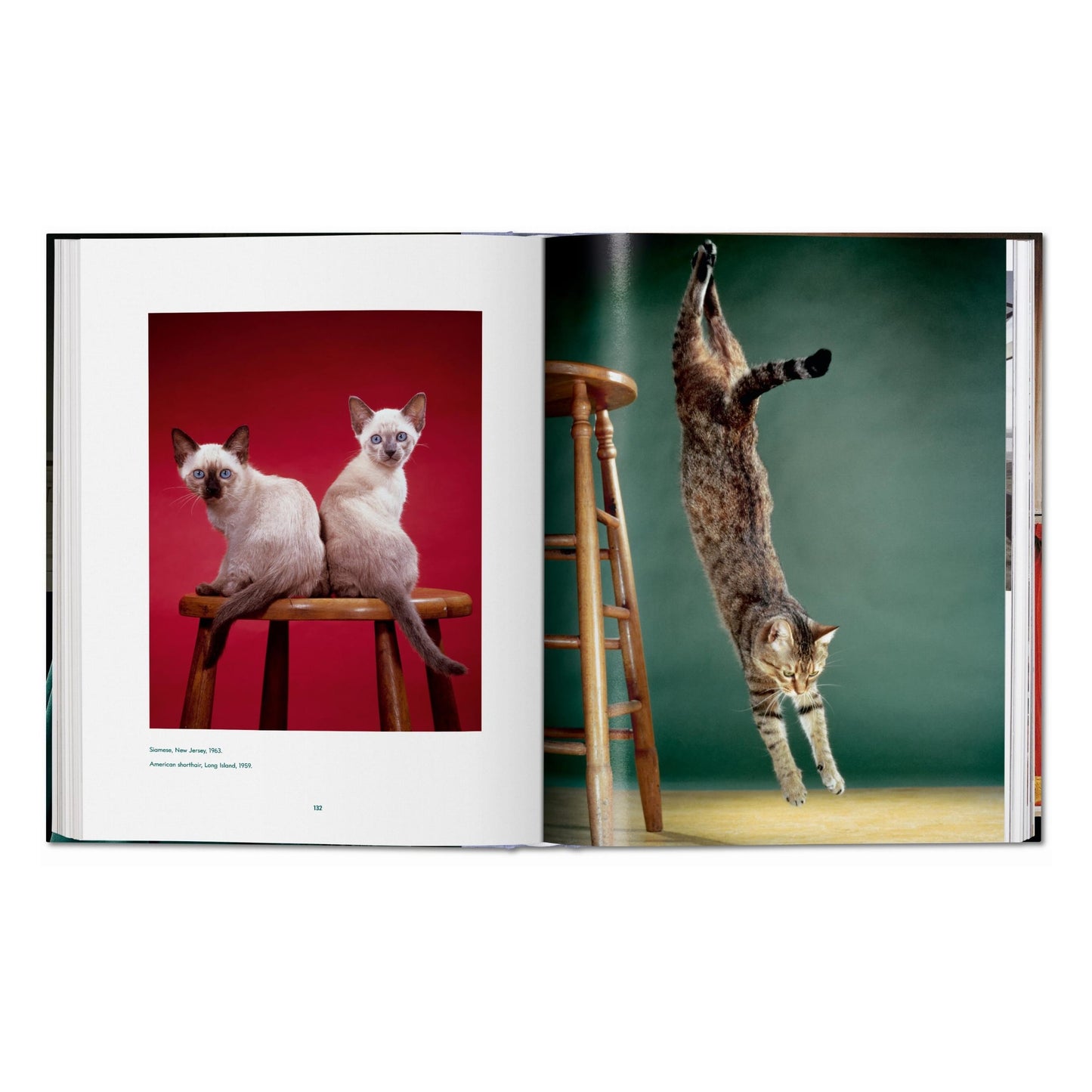 Walter Chandoha. Cats. Photographs 1942–2018 (German, French, English) Book