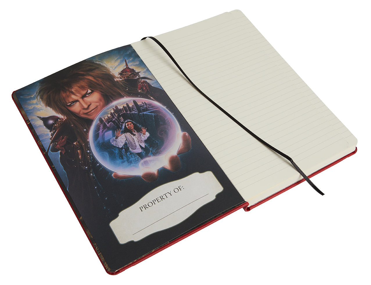 Labyrinth Hardcover Ruled Journal Hardcover Book