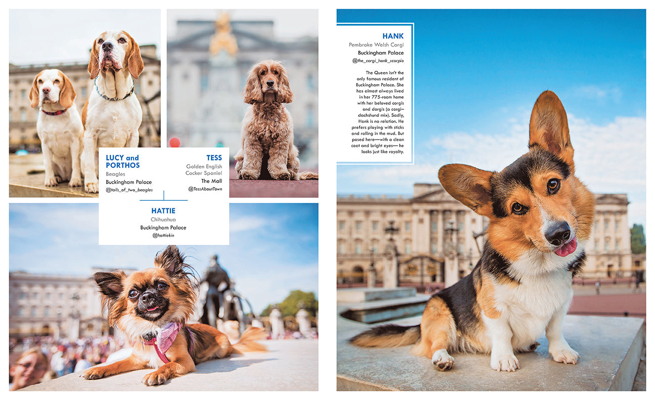 Canines of London Hardcover Book