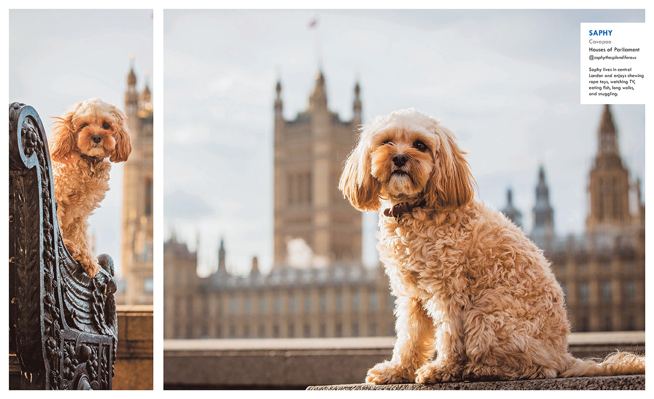 Canines of London Hardcover Book