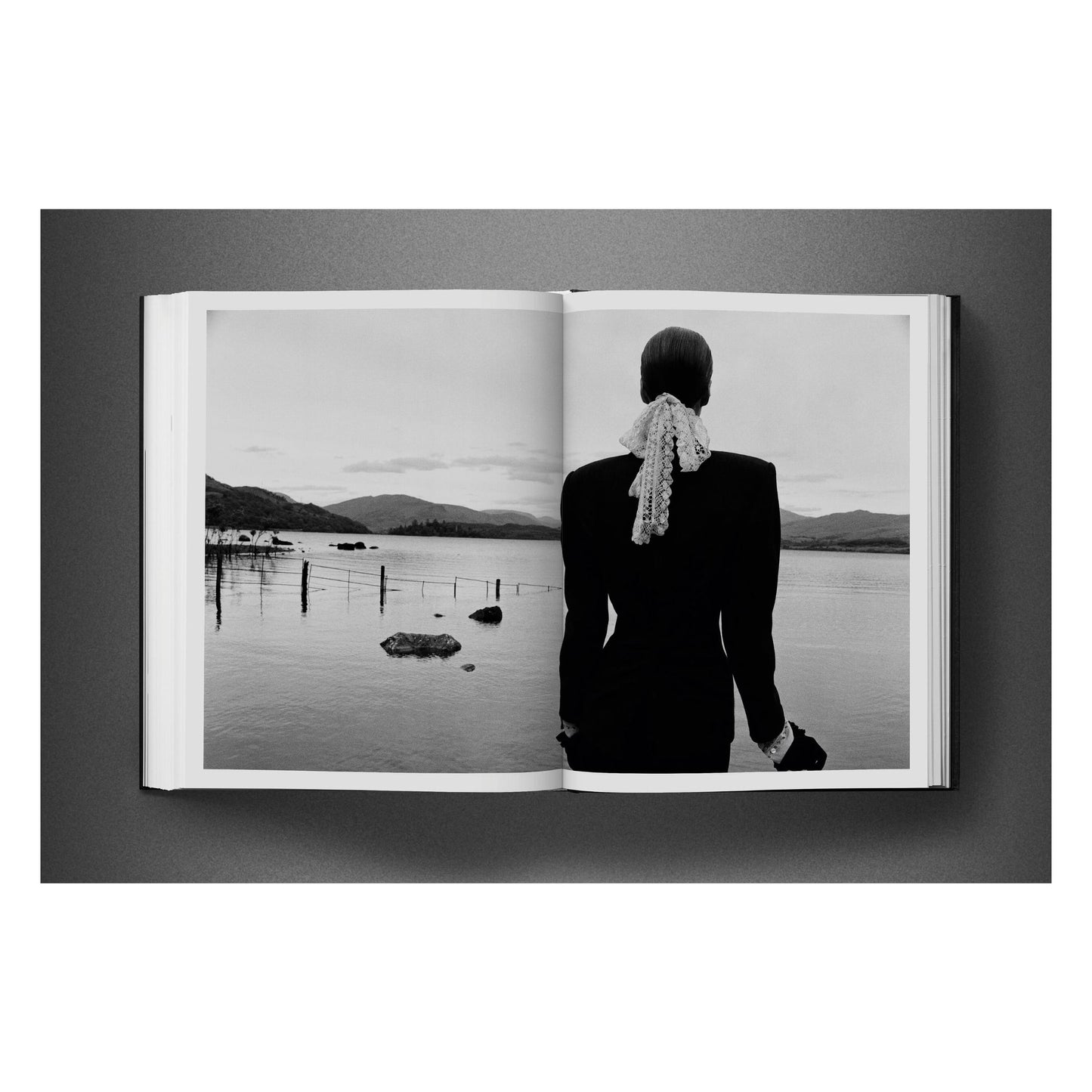 David Bailey. Eighties (English) Book