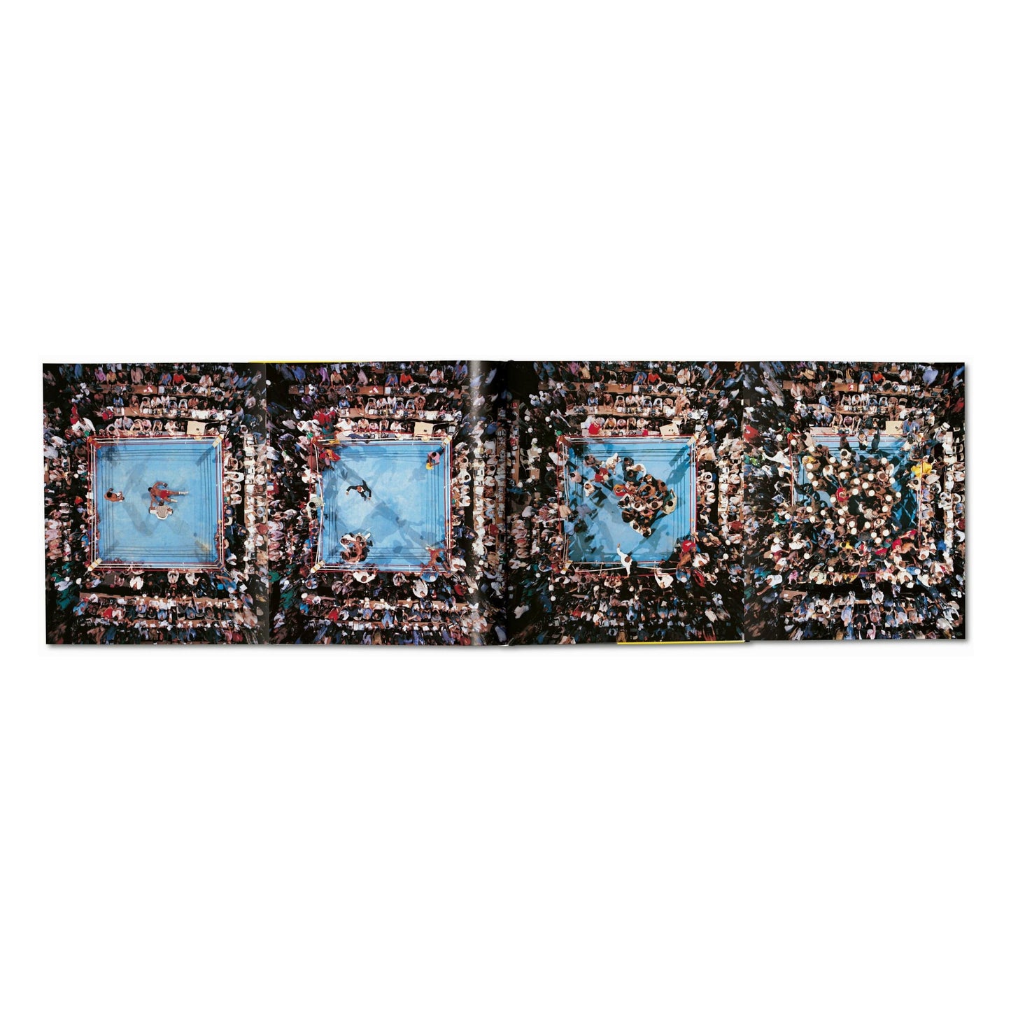 Norman Mailer. Neil Leifer. Howard L. Bingham. The Fight (English) Book