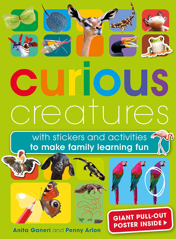 Curious Creatures Softcover Book