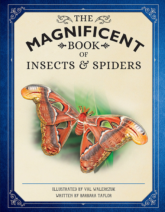 The Magnificent Book of Insects and Spiders Hardcover Book
