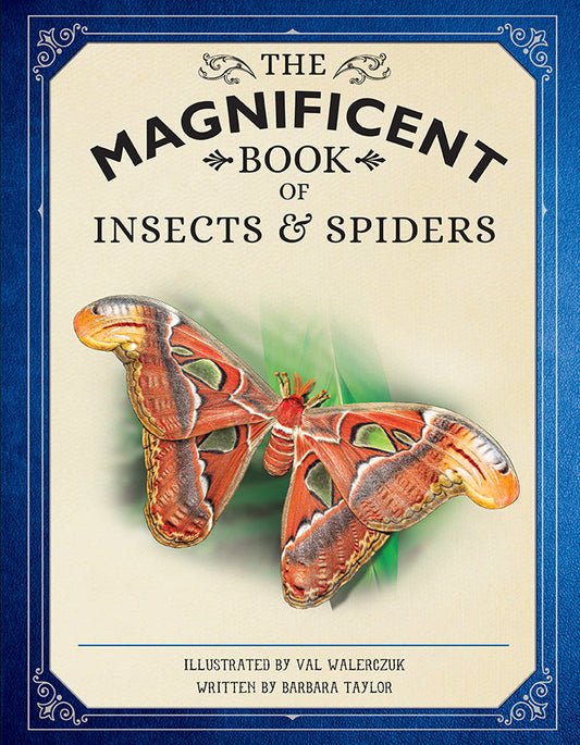 The Magnificent Book of Insects and Spiders Hardcover Book
