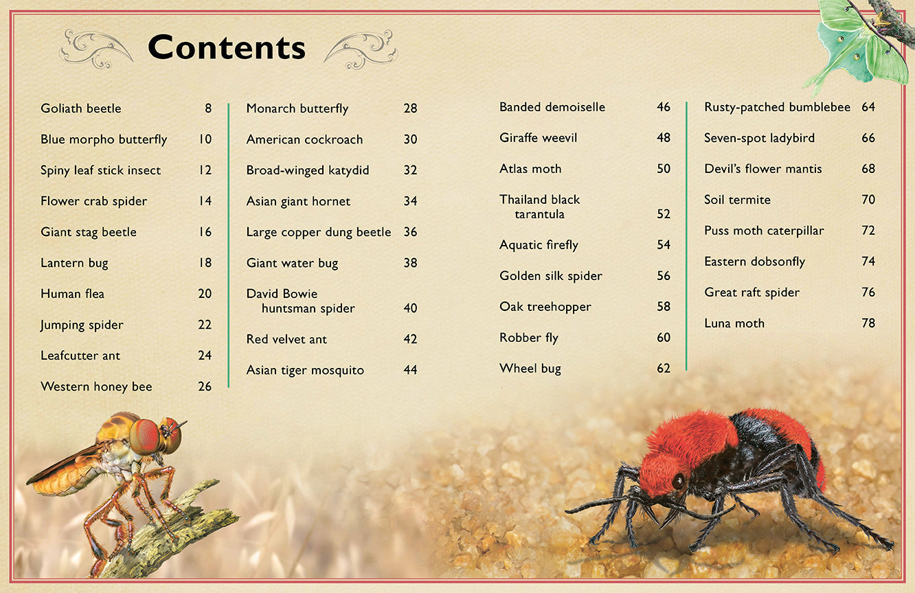 The Magnificent Book of Insects and Spiders Hardcover Book