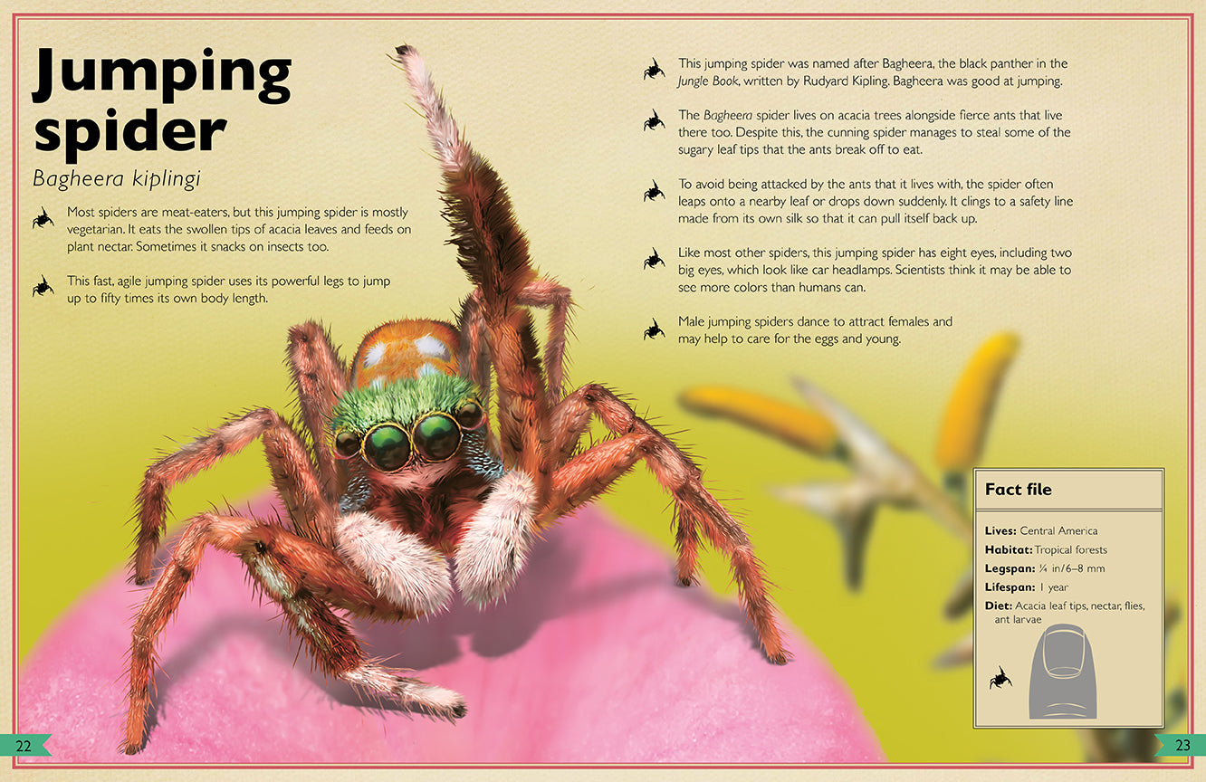 The Magnificent Book of Insects and Spiders Hardcover Book