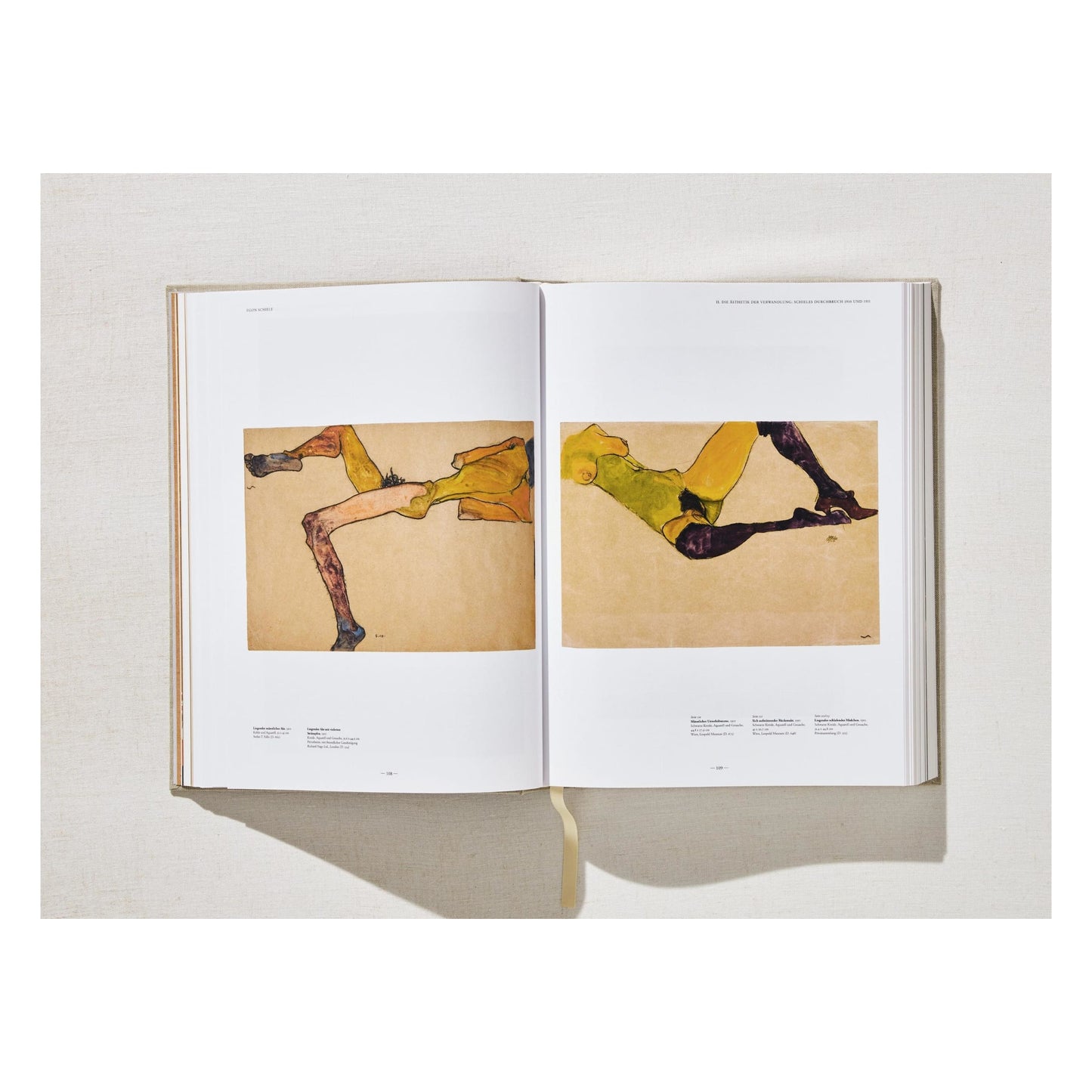 Egon Schiele. The Complete Paintings 1909–1918 (English) Book