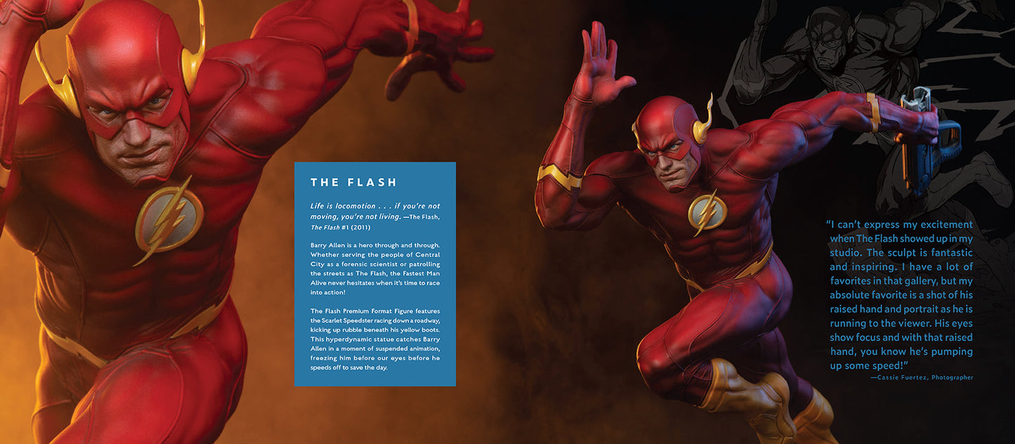 DC: Collecting the Multiverse Hardcover Book