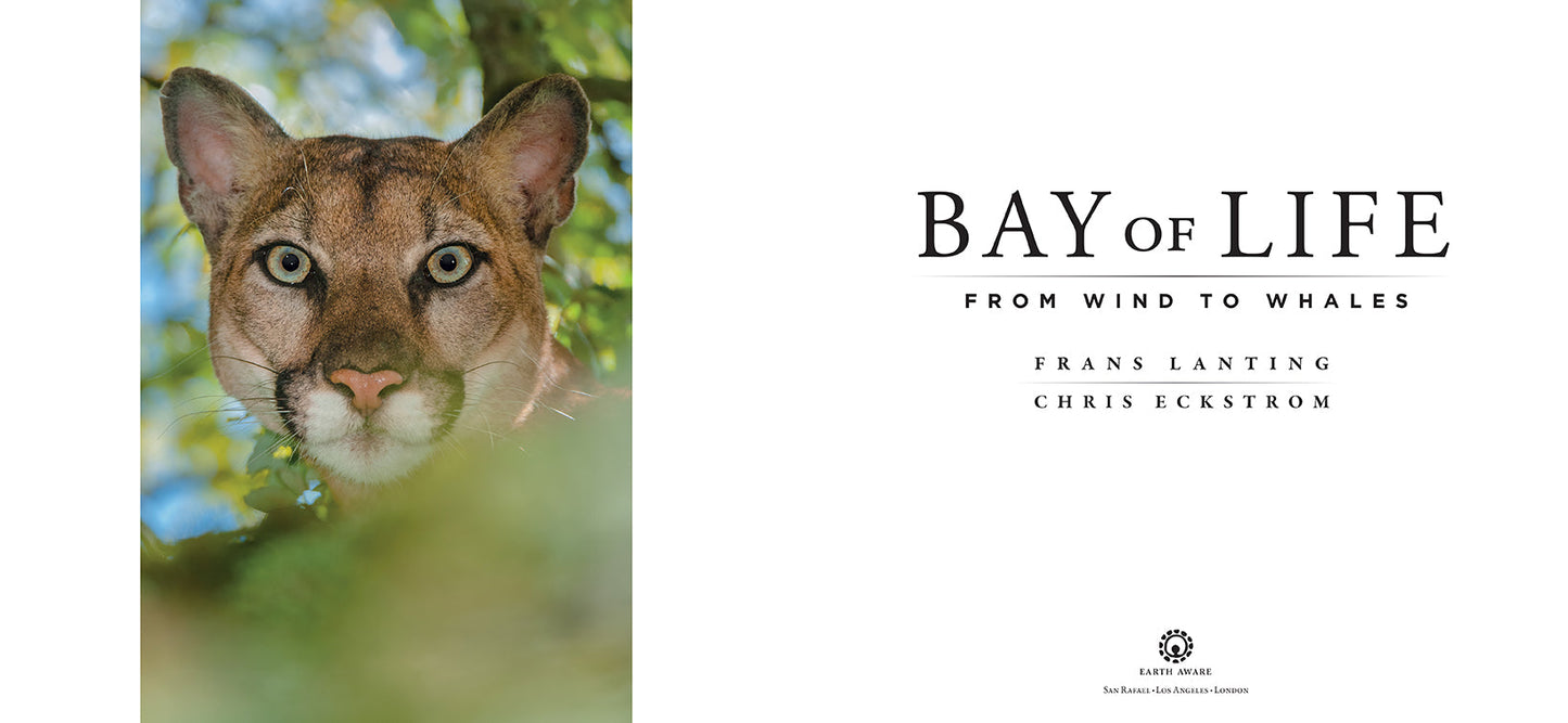 Bay of Life Hardcover Book