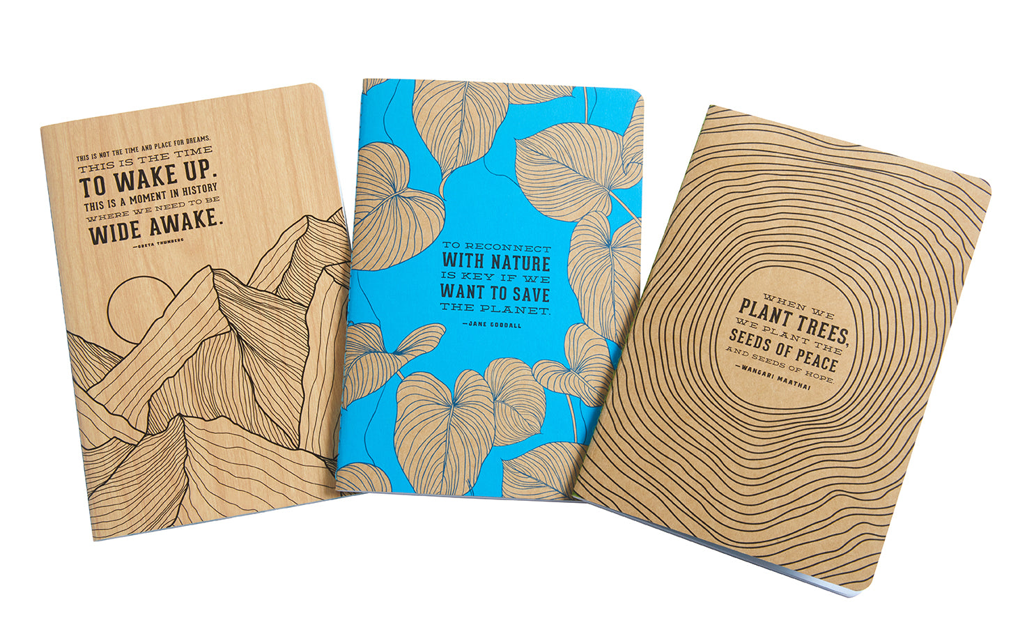 Conservation Sewn Notebook Collection (Set of 3) Softcover Book
