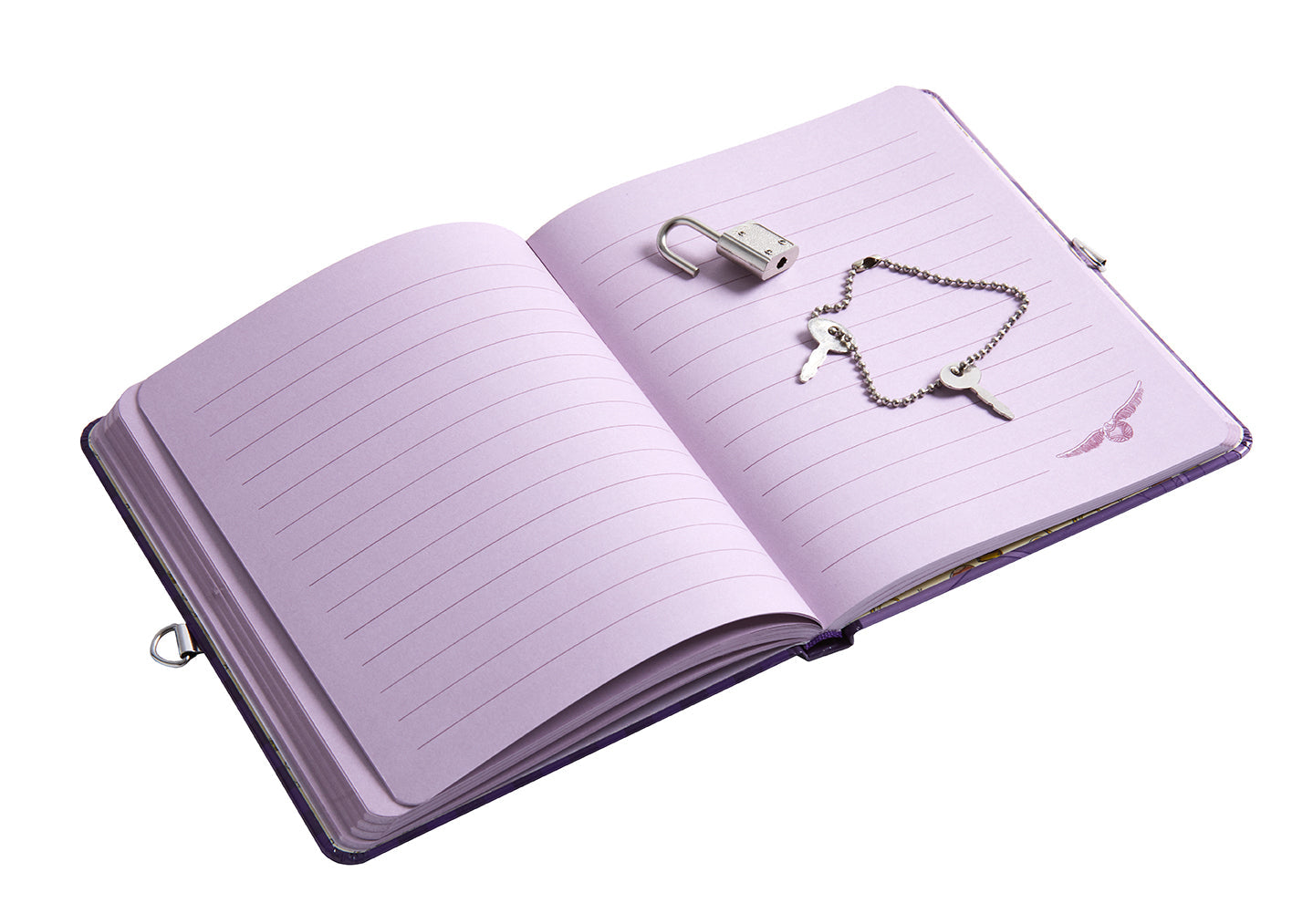 Harry Potter: Quidditch Lock & Key Diary Hardcover Book