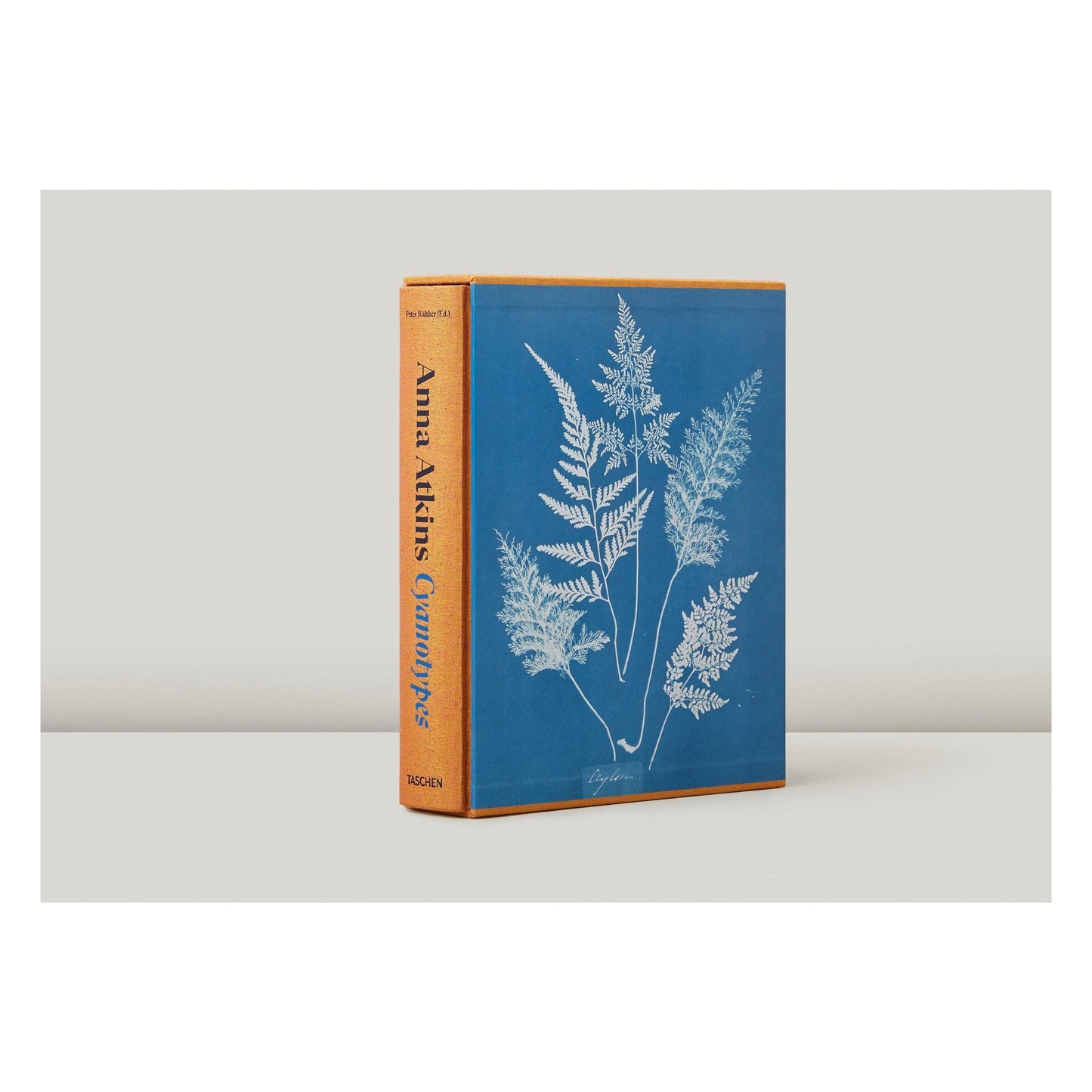 Anna Atkins. Cyanotypes (German, French, English) (FFE) Book