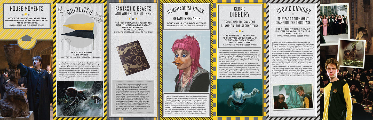 Harry Potter: Hufflepuff Magic Hardcover Book