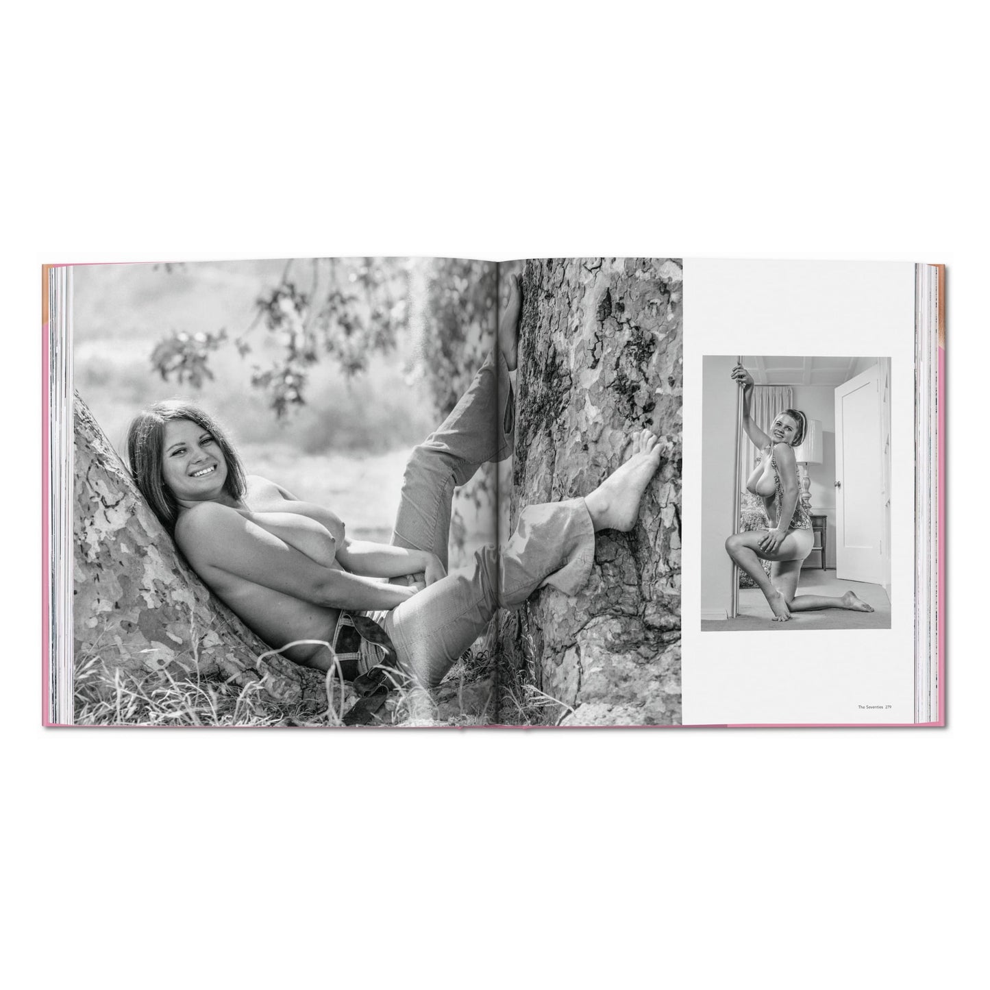 The Bigger Book of Breasts (English) Book