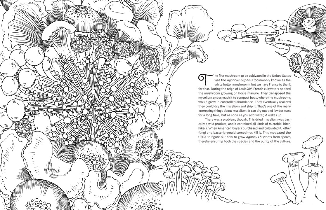 Fantastic Fungi: The Coloring Book Softcover Book