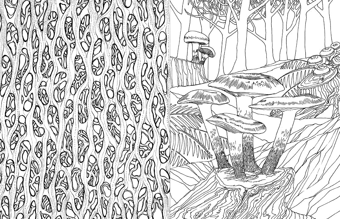 Fantastic Fungi: The Coloring Book Softcover Book