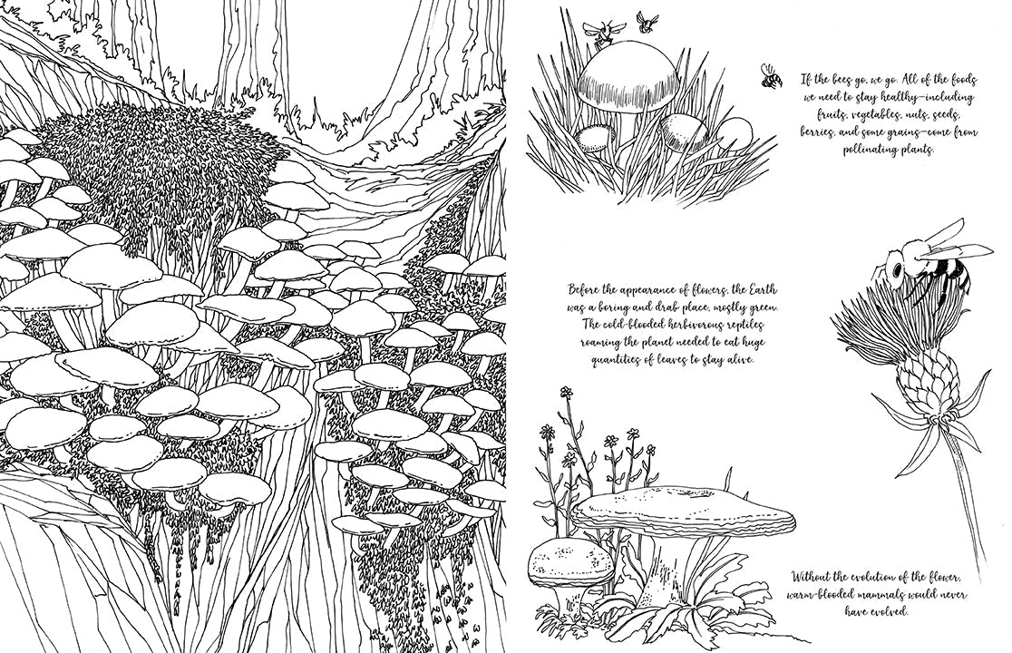 Fantastic Fungi: The Coloring Book Softcover Book