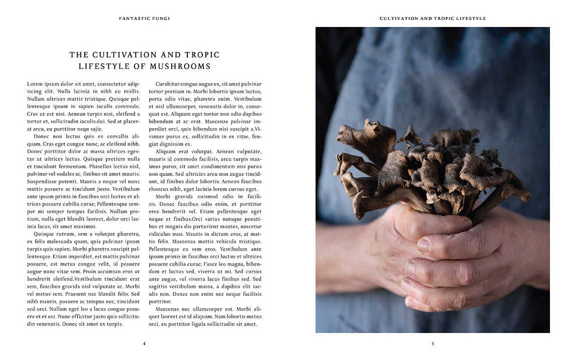 Fantastic Fungi Community Cookbook Hardcover Book