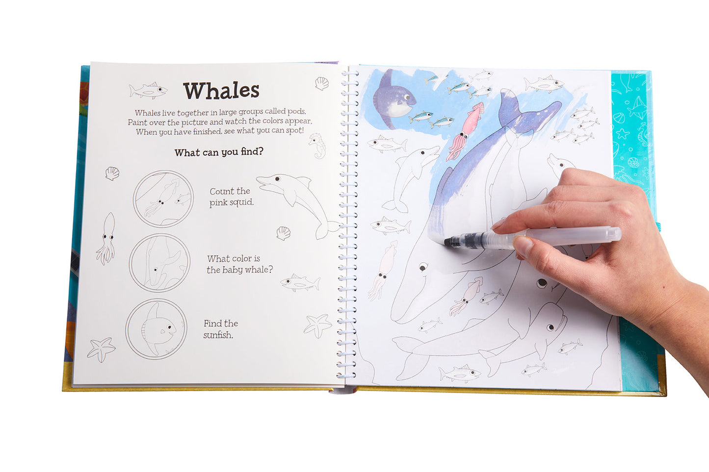 Magical Water Painting: Under the Sea Softcover Book