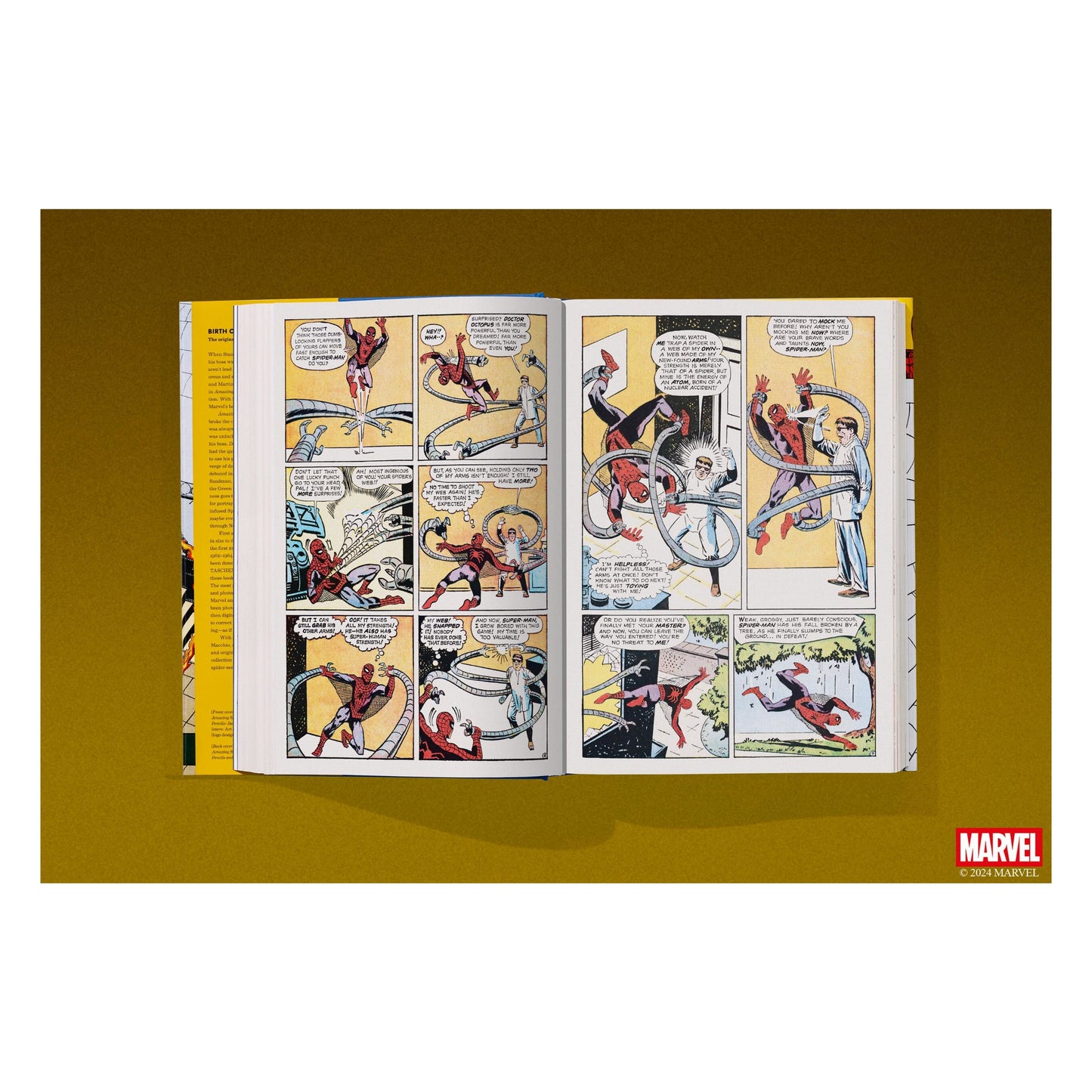 Marvel Comics Library. Spider-Man. 1962–1964 (English) Book