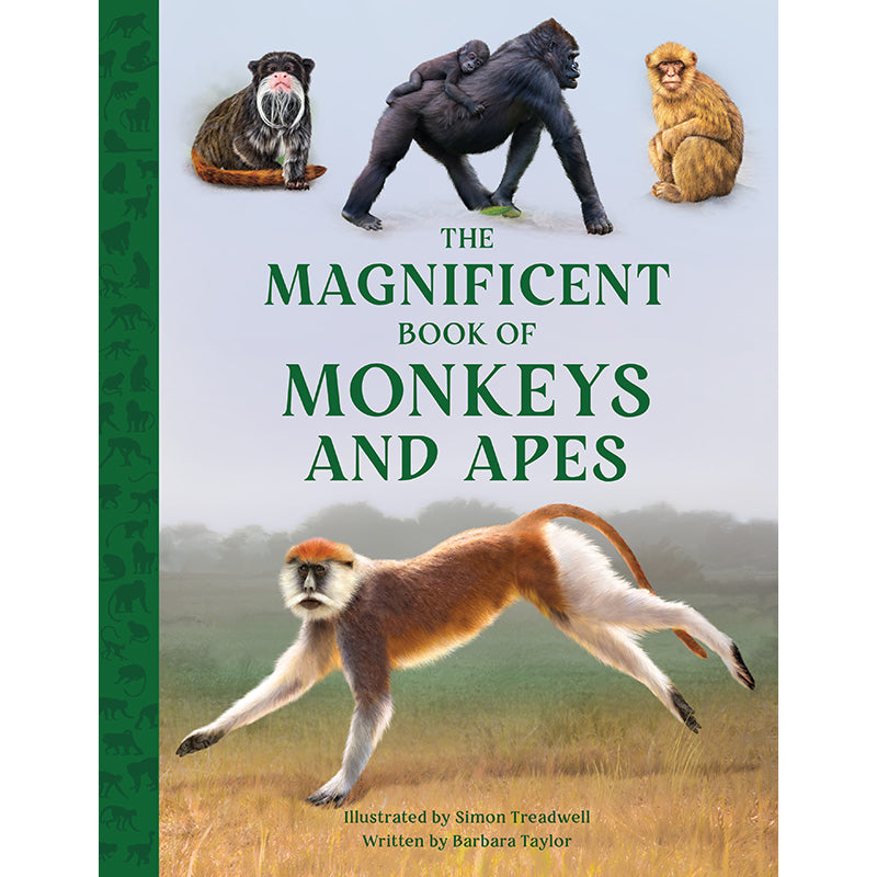The Magnificent Book of Monkeys and Apes Hardcover Book
