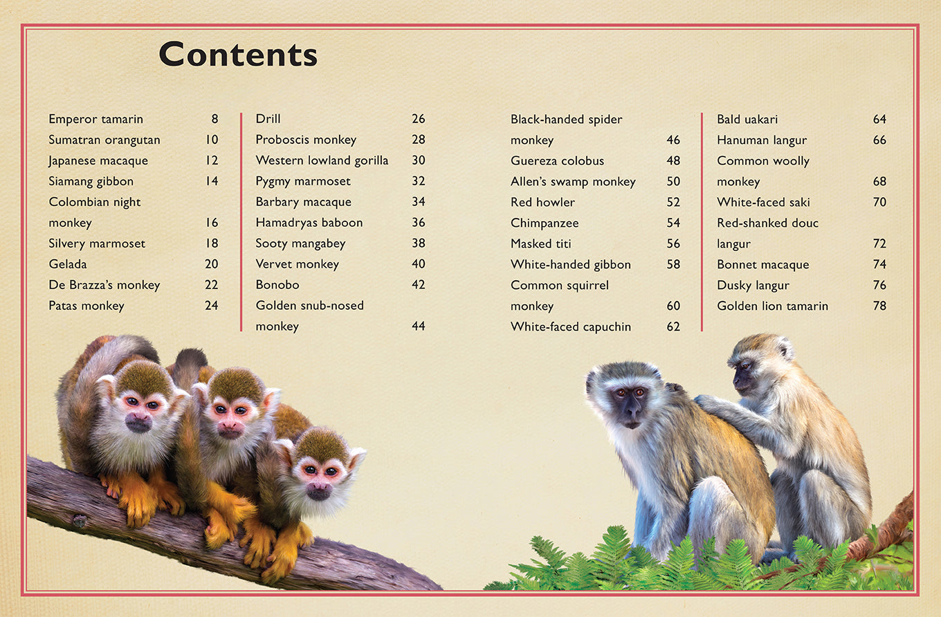 The Magnificent Book of Monkeys and Apes Hardcover Book