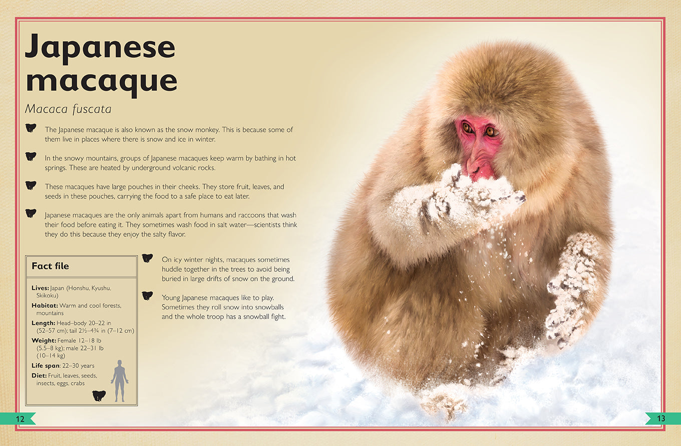 The Magnificent Book of Monkeys and Apes Hardcover Book