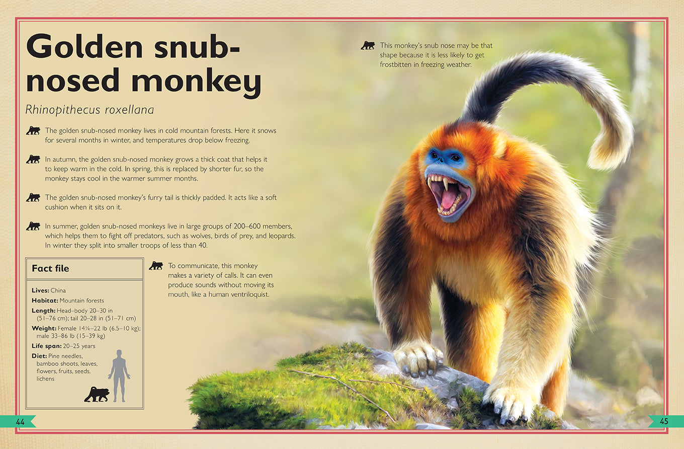 The Magnificent Book of Monkeys and Apes Hardcover Book
