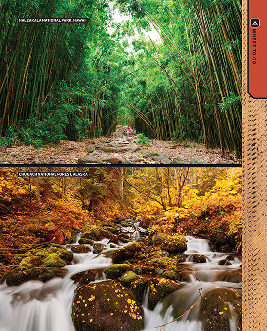 The Total Camping Manual Flexibound Book