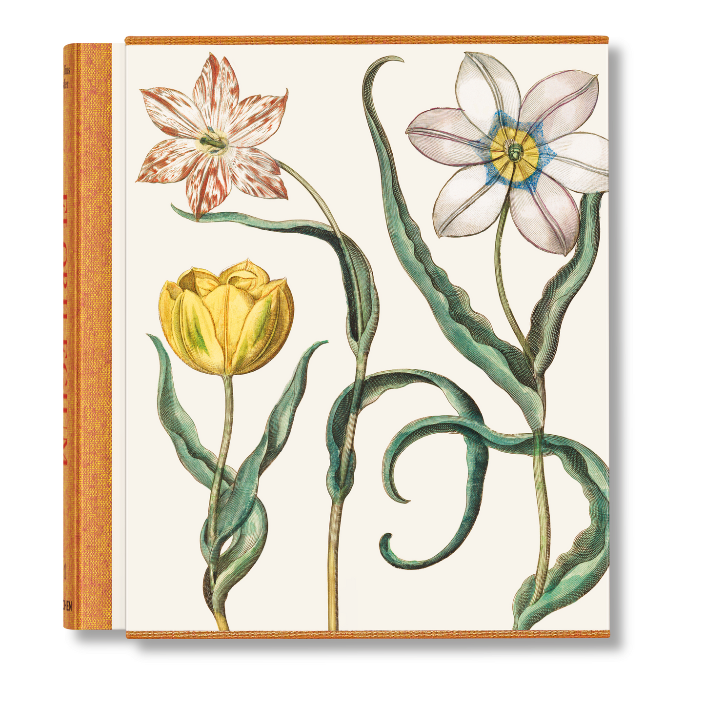 Basilius Besler. The Garden at Eichstätt (German, French, English) (FFE) Book