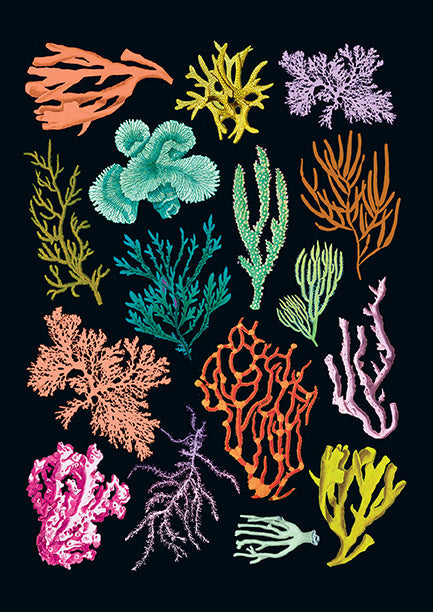 Art of Nature: Under the Sea Sewn Notebook Collection (Set of 3) Softcover Book