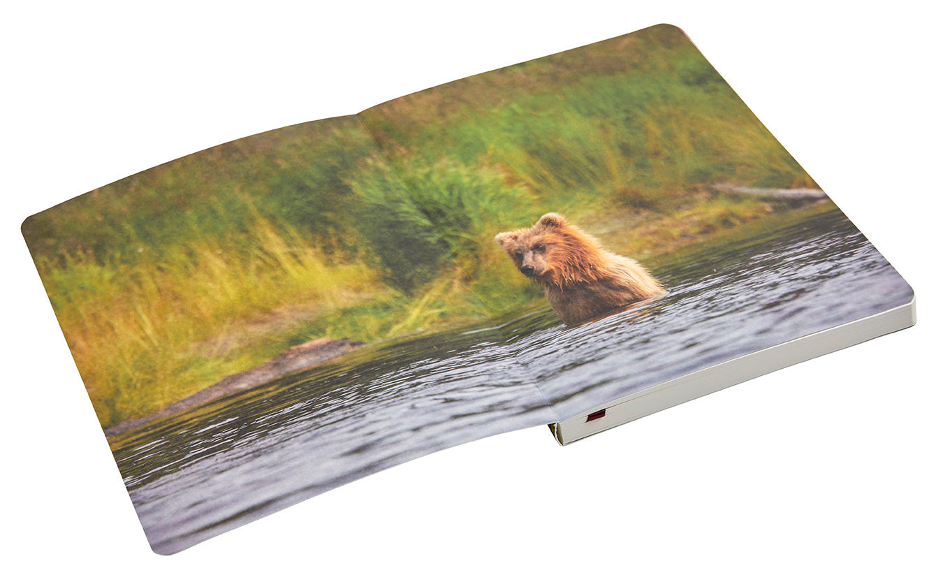 Refuge: Purple Fireweed Softcover Notebook Softcover Book