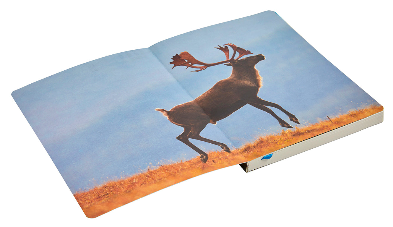 Refuge: Arctic River Softcover Notebook Softcover Book