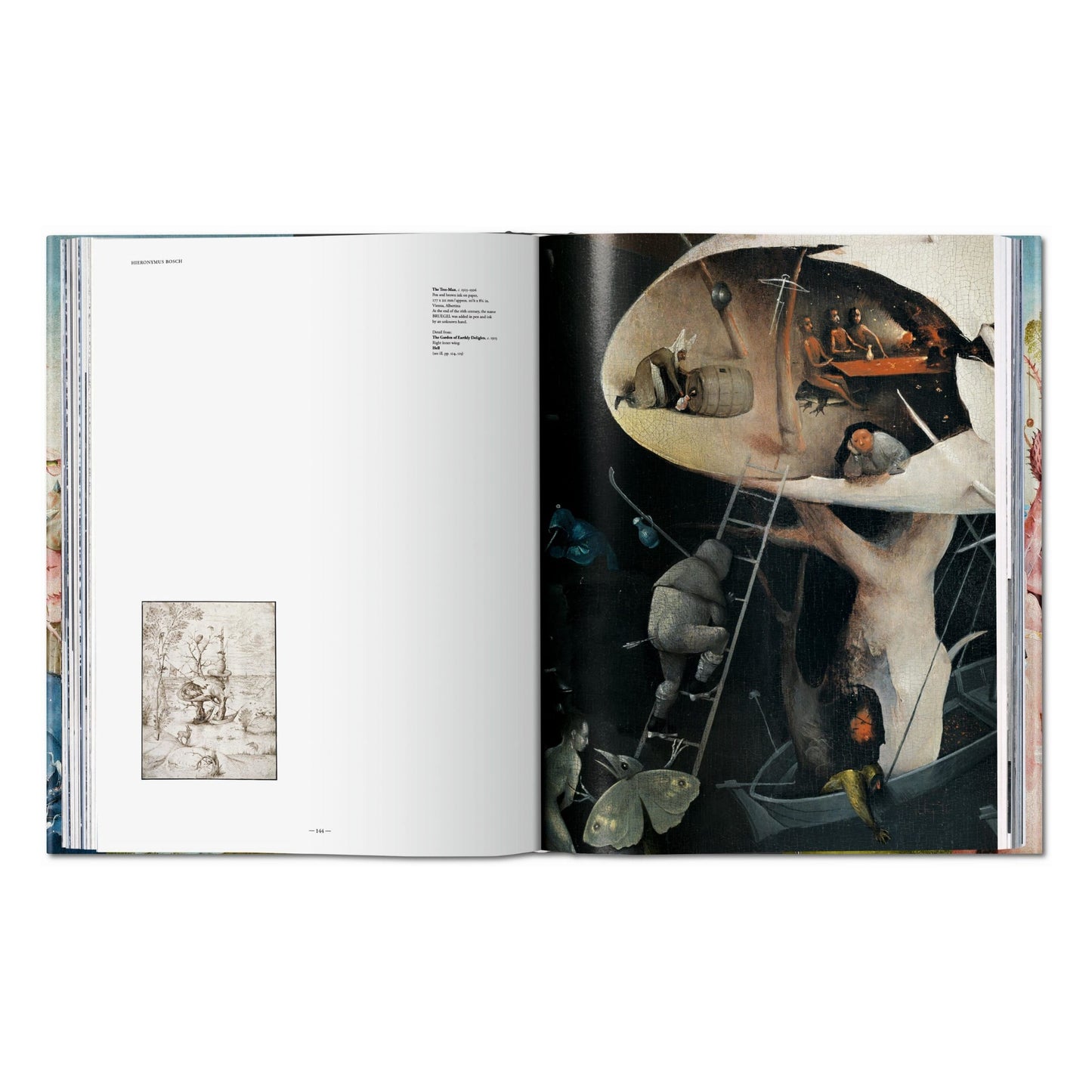 Hieronymus Bosch. The Complete Works (English) Book