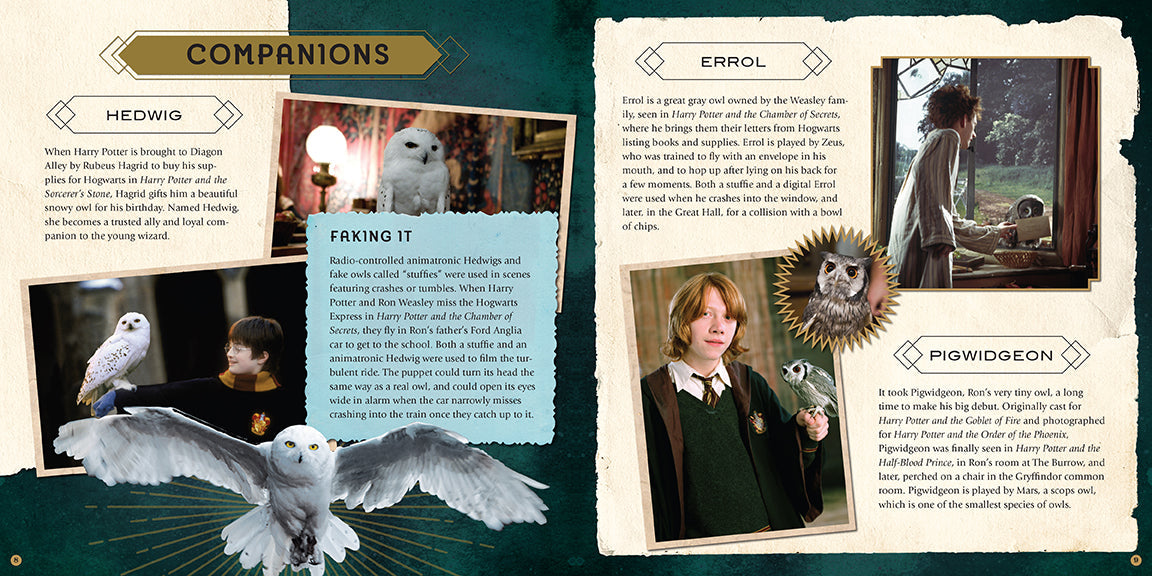 Harry Potter: Magical Creatures: A Movie ScrapHardcover Book