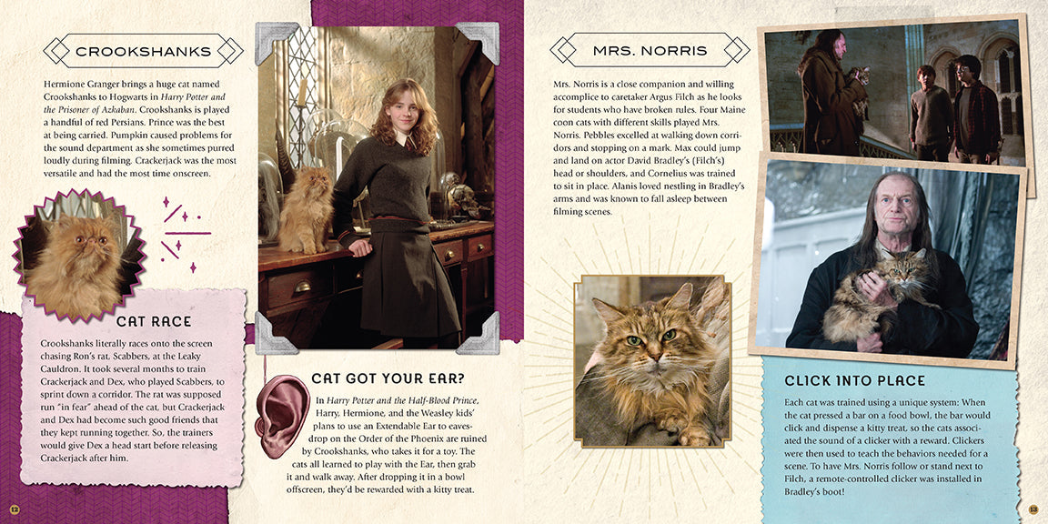 Harry Potter: Magical Creatures: A Movie ScrapHardcover Book