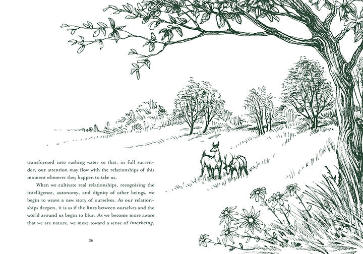 Healing Trees Hardcover Book