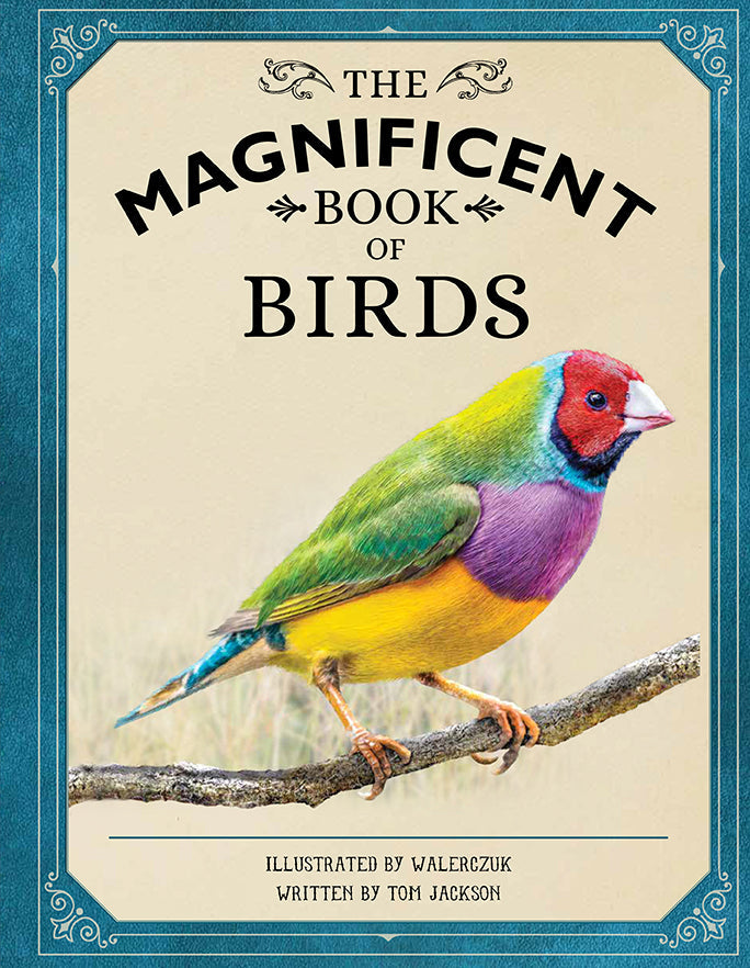 The Magnificent Book of Birds Hardcover Book
