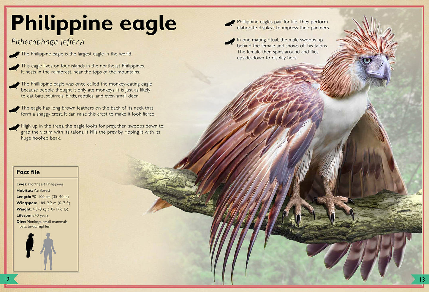 The Magnificent Book of Birds Hardcover Book