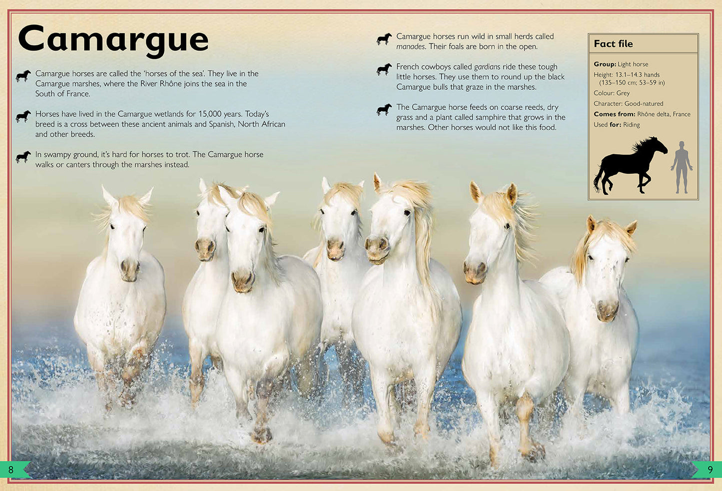 The Magnificent Book of Horses Hardcover Book