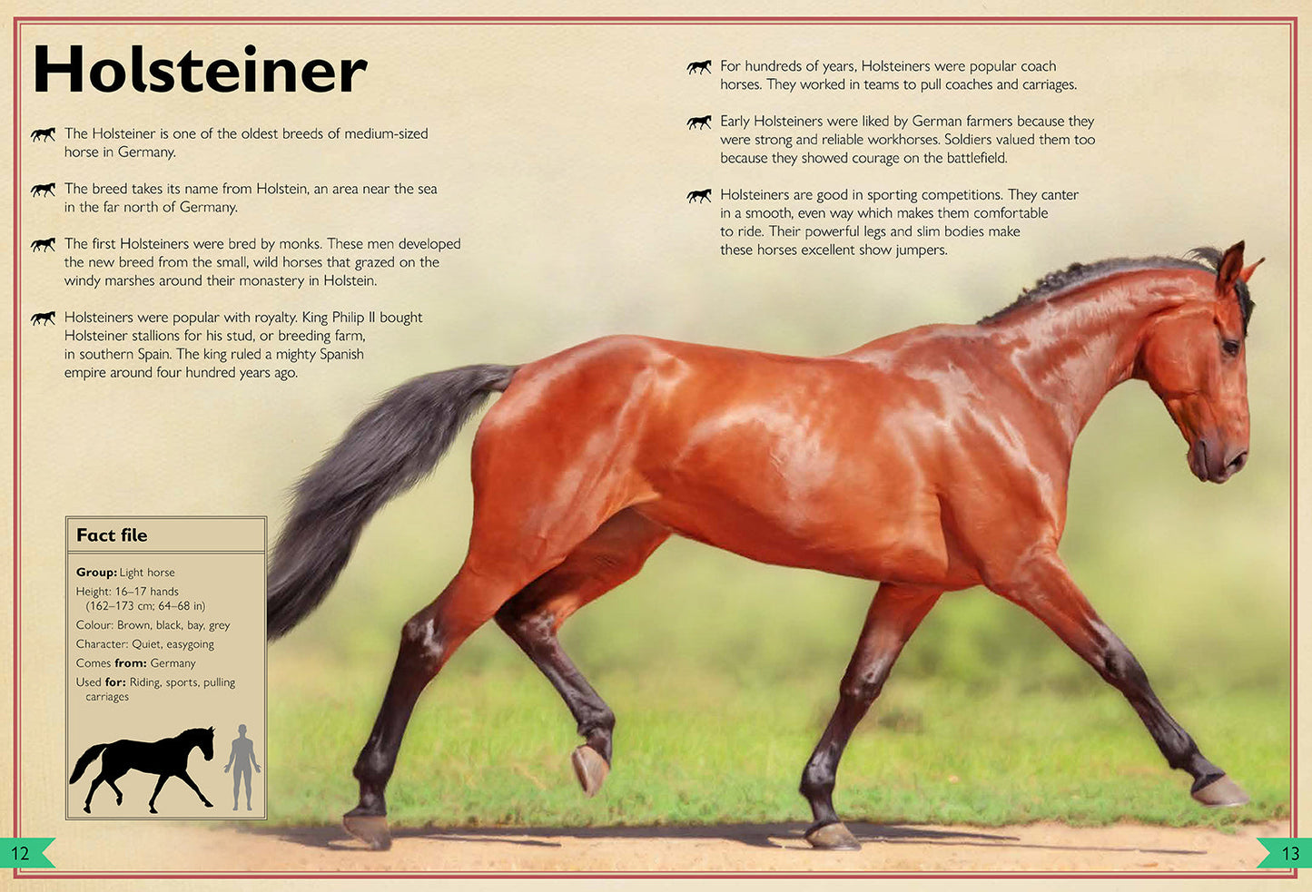 The Magnificent Book of Horses Hardcover Book