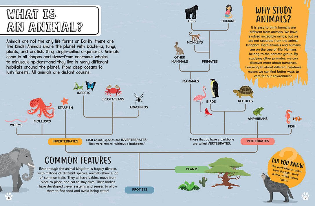 Big Questions for Little People: Animals Hardcover Book